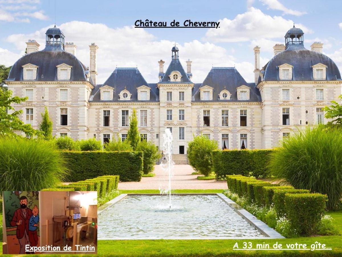 La Porte Aux Dames Romorantin-Lanthenay Екстериор снимка